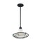 Nuvo Fixture, Pendant, 1-Light, Incandescent, 60W, 120V, A19, Medium Base, Height: 8.13 60/7054 - alternate 3